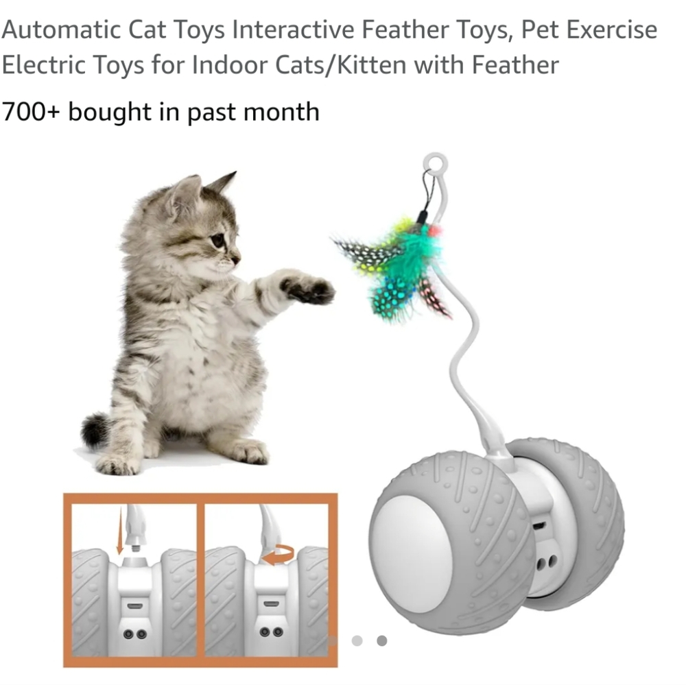 Cat Toy